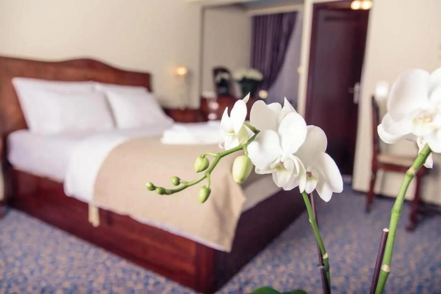 Hotel Stern ラウターバッハ エクステリア 写真